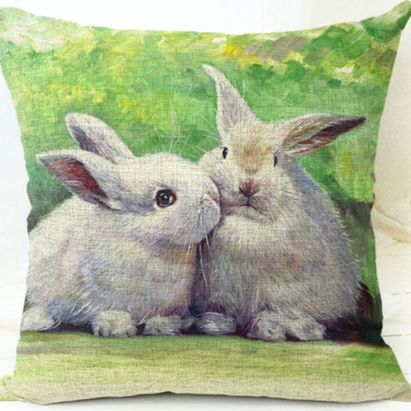 Other - Pillow Cover- NEW- Spring Bunny Rabbit Animals